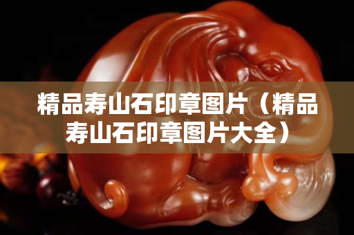 精品壽山石印章圖片（精品壽山石印章圖片大全）