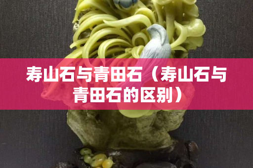 壽山石與青田石（壽山石與青田石的區別）