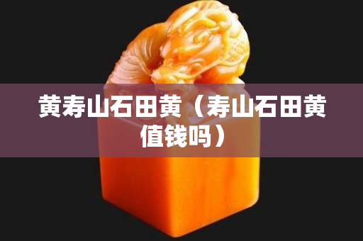 黃壽山石田黃（壽山石田黃值錢嗎）