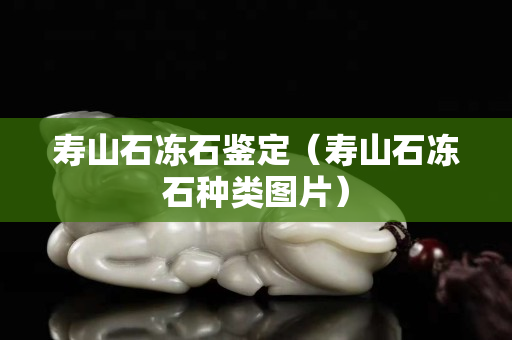 壽山石凍石鑒定（壽山石凍石種類圖片）