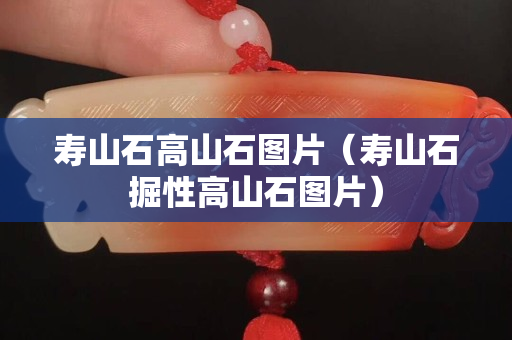 壽山石高山石圖片（壽山石掘性高山石圖片）