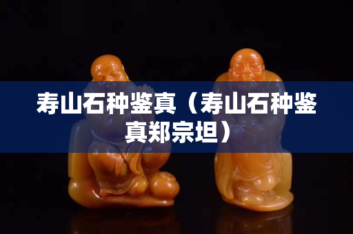 壽山石種鑒真（壽山石種鑒真鄭宗坦）