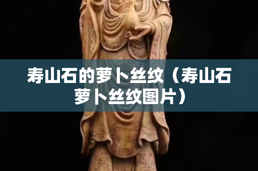 壽山石的蘿卜絲紋（壽山石蘿卜絲紋圖片）