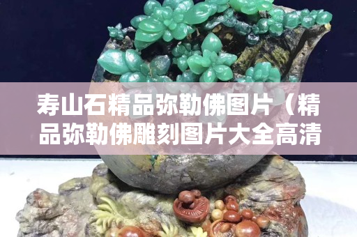 壽山石精品彌勒佛圖片（精品彌勒佛雕刻圖片大全高清）