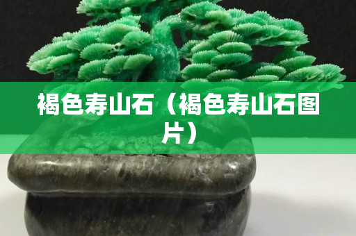 褐色壽山石（褐色壽山石圖片）