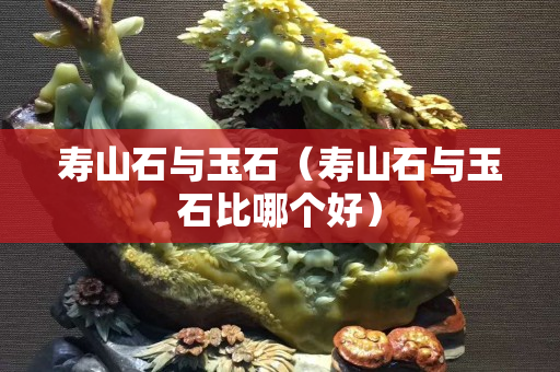 壽山石與玉石（壽山石與玉石比哪個好）