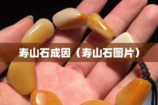 壽山石成因（壽山石圖片）