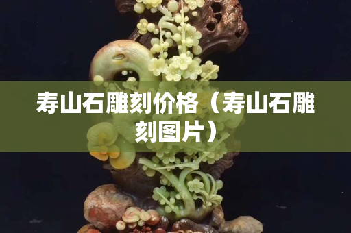 壽山石雕刻價格（壽山石雕刻圖片）