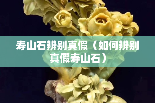 壽山石辨別真假（如何辨別真假壽山石）