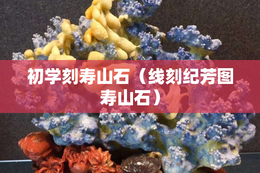 初學刻壽山石（線刻紀芳圖壽山石）