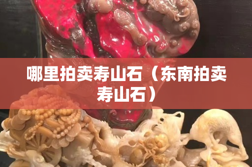 哪里拍賣壽山石（東南拍賣壽山石）