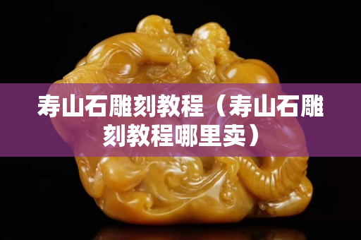 壽山石雕刻教程（壽山石雕刻教程哪里賣）