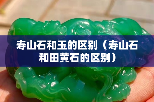 壽山石和玉的區別（壽山石和田黃石的區別）