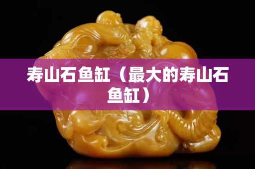 壽山石魚(yú)缸（最大的壽山石魚(yú)缸）