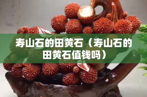 壽山石的田黃石（壽山石的田黃石值錢嗎）