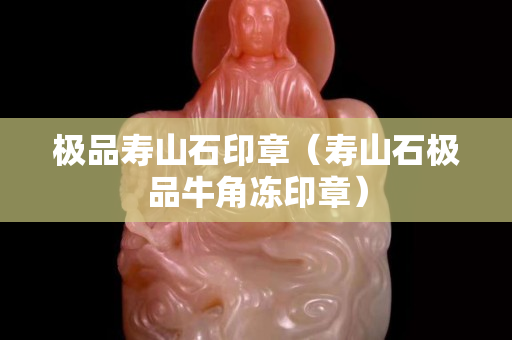 極品壽山石印章（壽山石極品牛角凍印章）