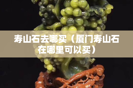 壽山石去哪買（廈門壽山石在哪里可以買）