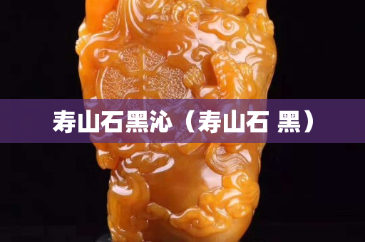 壽山石黑沁（壽山石 黑）