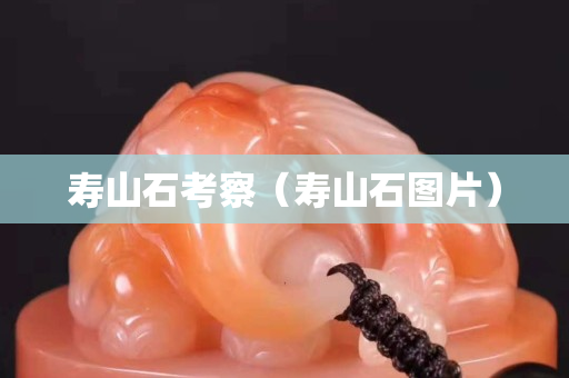 壽山石考察（壽山石圖片）