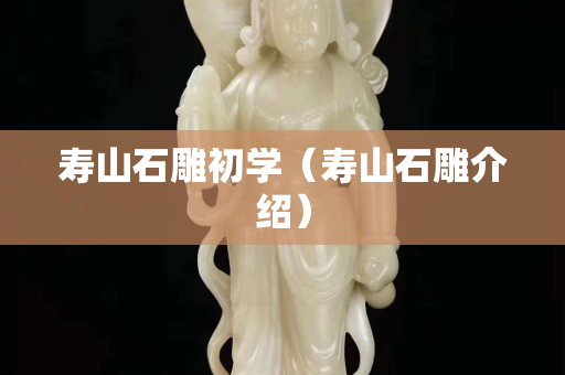 壽山石雕初學（壽山石雕介紹）
