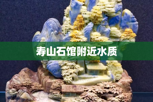 壽山石館附近水質