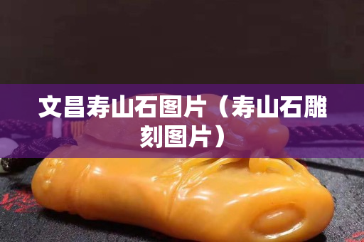 文昌壽山石圖片（壽山石雕刻圖片）