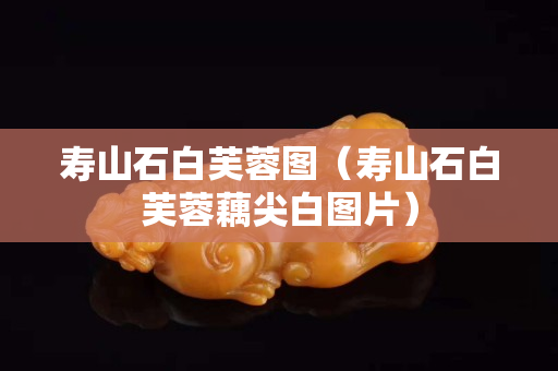 壽山石白芙蓉圖（壽山石白芙蓉藕尖白圖片）