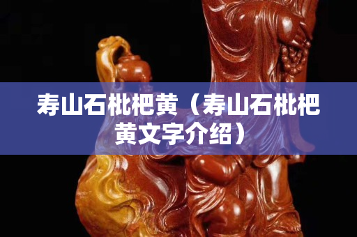 壽山石枇杷黃（壽山石枇杷黃文字介紹）