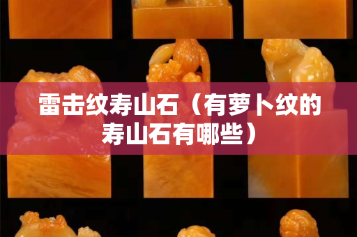 雷擊紋壽山石（有蘿卜紋的壽山石有哪些）