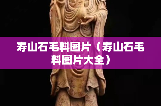 壽山石毛料圖片（壽山石毛料圖片大全）