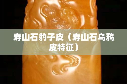壽山石豹子皮（壽山石烏鴉皮特征）