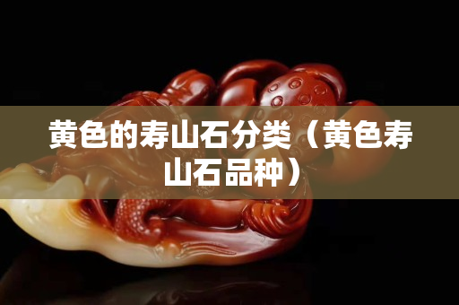 黃色的壽山石分類（黃色壽山石品種）