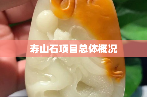壽山石項目總體概況