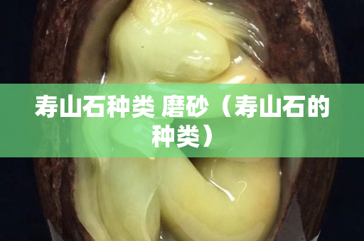 壽山石種類 磨砂（壽山石的種類）
