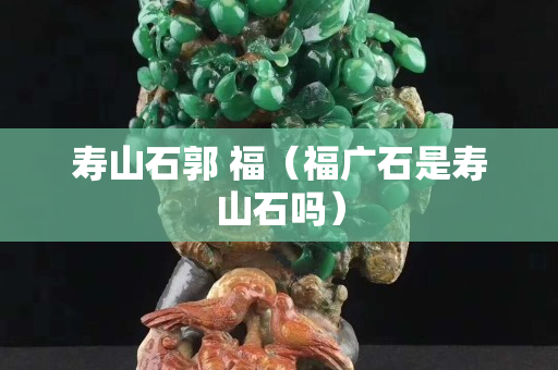 壽山石郭 福（福廣石是壽山石嗎）