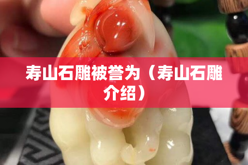 壽山石雕被譽為（壽山石雕介紹）