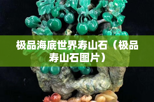 極品海底世界壽山石（極品壽山石圖片）