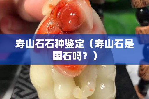 壽山石石種鑒定（壽山石是國石嗎？）