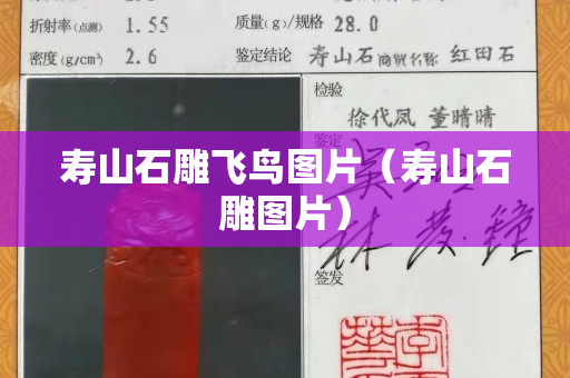 壽山石雕飛鳥圖片（壽山石雕圖片）