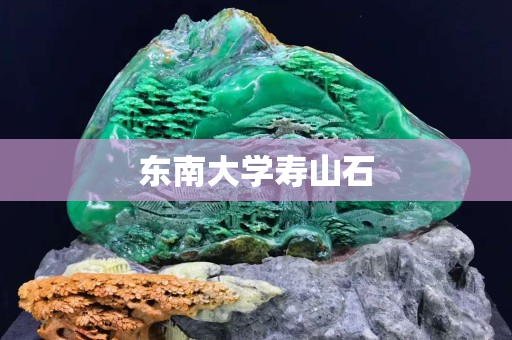 東南大學壽山石