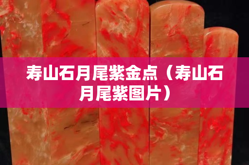 壽山石月尾紫金點（壽山石月尾紫圖片）