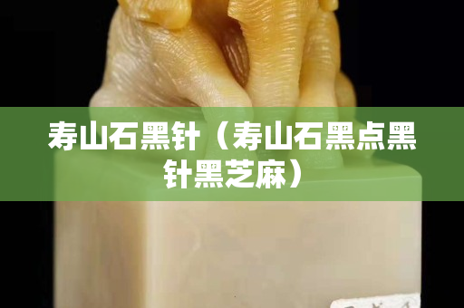 壽山石黑針（壽山石黑點黑針黑芝麻）