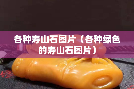各種壽山石圖片（各種綠色的壽山石圖片）