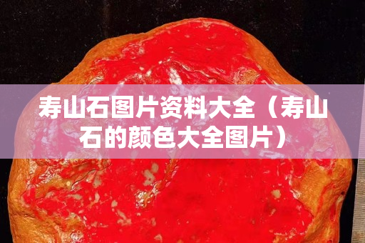 壽山石圖片資料大全（壽山石的顏色大全圖片）