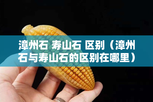 漳州石 壽山石 區(qū)別（漳州石與壽山石的區(qū)別在哪里）