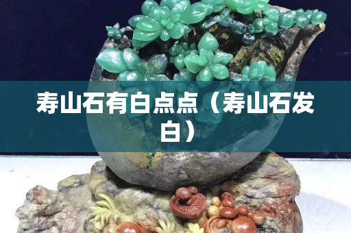 壽山石有白點點（壽山石發白）
