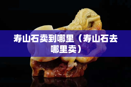 壽山石賣到哪里（壽山石去哪里賣）