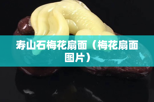 壽山石梅花扇面（梅花扇面圖片）