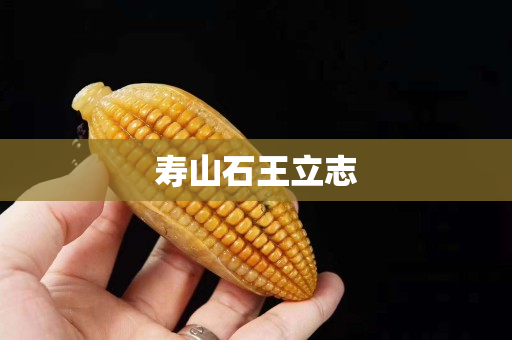 壽山石王立志