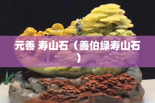 元善 壽山石（善伯綠壽山石）